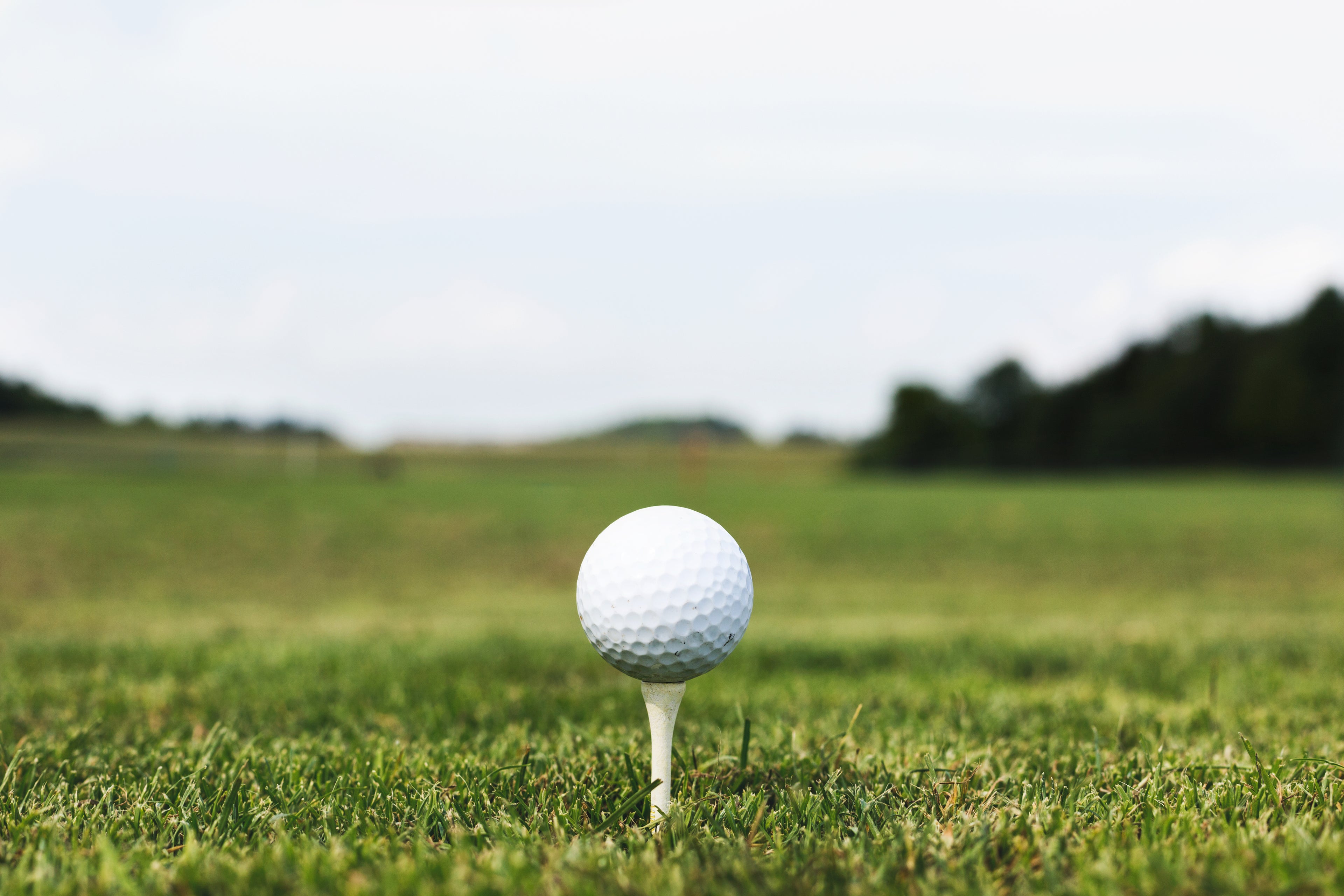 vilineke golf shop
